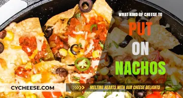 Nacho Cheese Heaven: Top 5 Cheesy Choices for Your Next Party