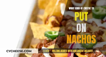 The Best Cheeses for Nachos: A Tasty Guide