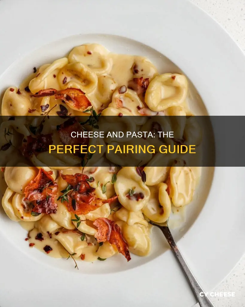 what kind of cheese to put on pasta