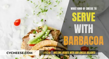 Cheese and Barbacoa: A Match Made in Heaven