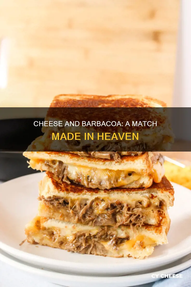 what kind of cheese to serve with barbacoa