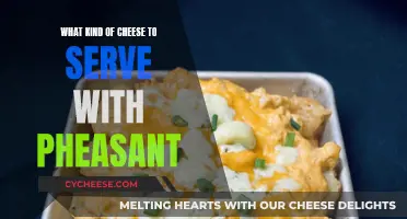 Cheese Pairing Perfection with Pheasant: A Guide