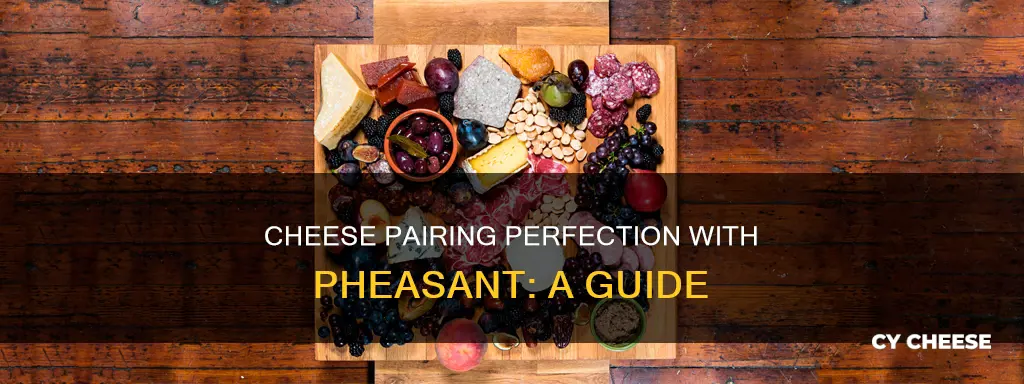 what kind of cheese to serve with pheasant