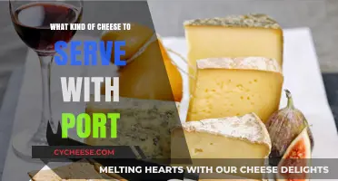 Port and Cheese Pairing: A Guide to the Perfect Match