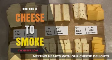 The Ultimate Guide to Smoking Cheese: Top Varieties to Try