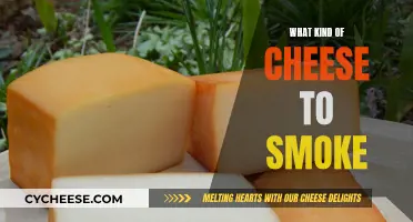 Smoking Cheese: Best Types and Flavors to Try