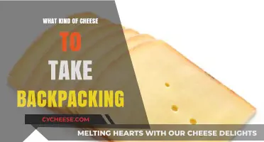 Cheese for the Trail: Your Backpacking Companion