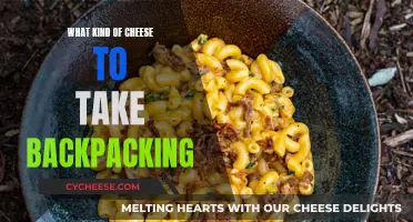 Cheese for Backpacking: What to Take on Your Next Adventure