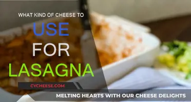 Cheese Options for a Perfect Lasagna