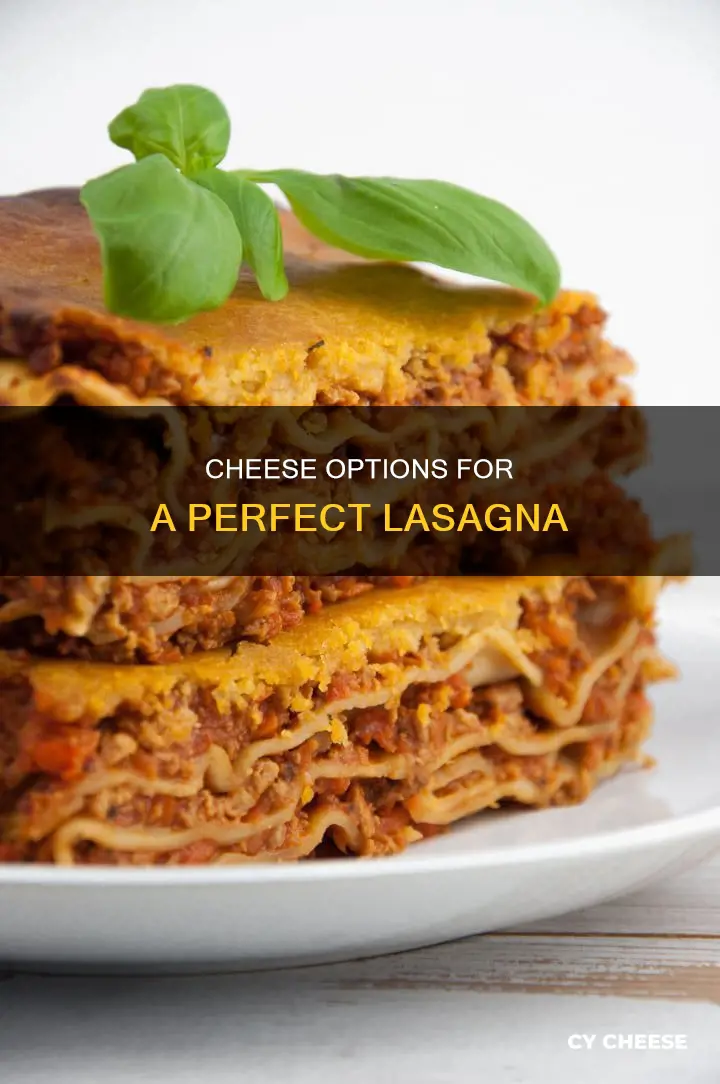 what kind of cheese to use for lasagna
