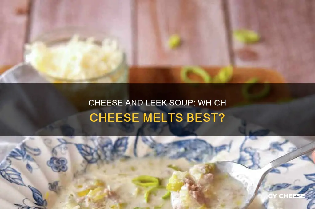 what kind of cheese to use for leek soup