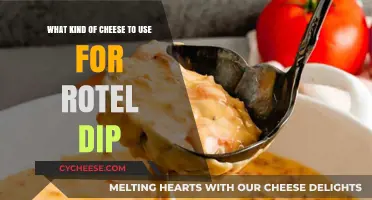 Cheese Options for Rotel Dip
