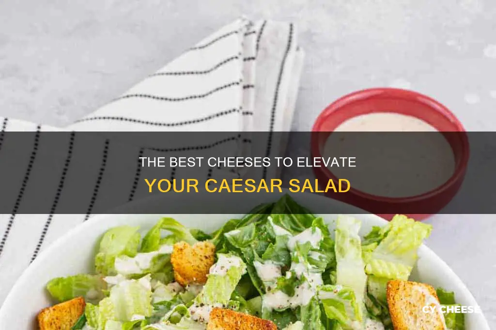 what kind of cheese to use in caeser salad