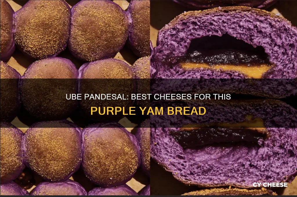 what kind of cheese to use in ube pandesal