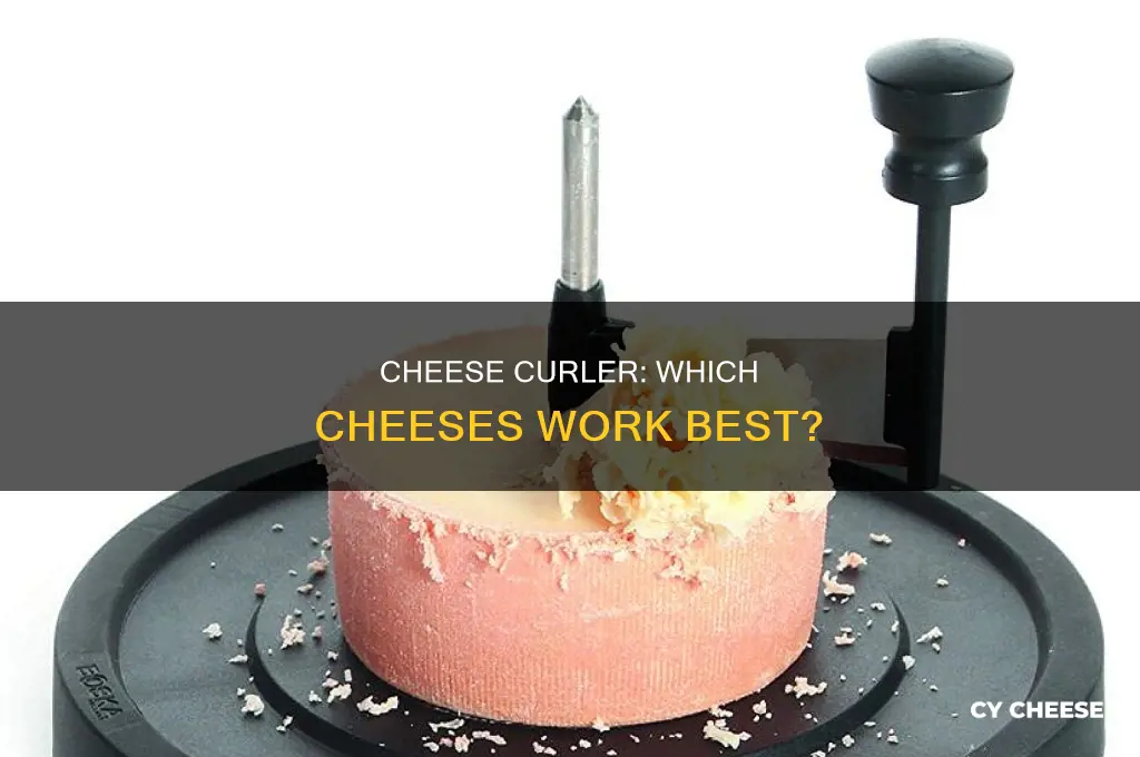 what kind of cheese to use with a cheese curler