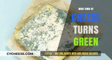 Unveiling the Mystery: Which Cheeses Turn Green?