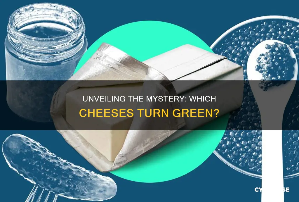 what kind of cheese turns green