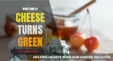 Cheese Secrets: Green Cheeses and Their Unique Flavors