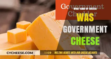 Unveiling the Mystery: Government Cheese, a Tasty Enigma