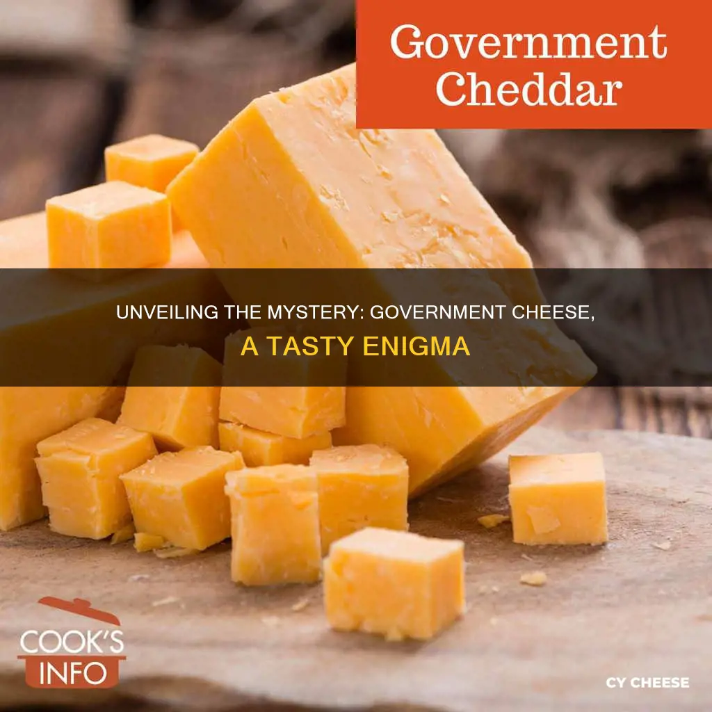 what kind of cheese was government cheese