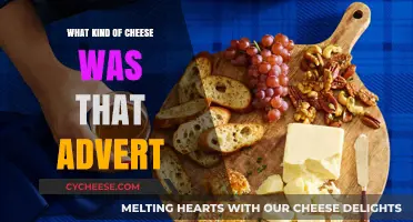 Unraveling the Mystery: The Cheesy Ad's Hidden Delight