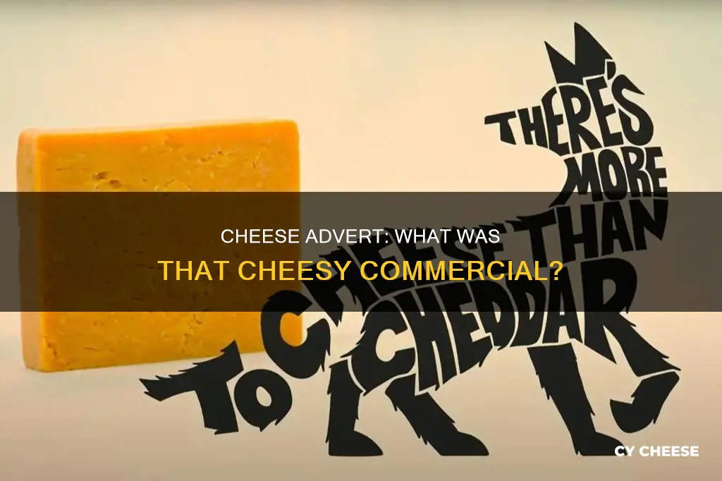 what kind of cheese was that advert