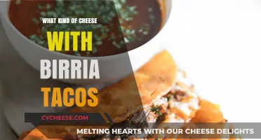 Birria Tacos: A Cheesy Adventure