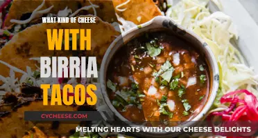 Cheese and Birria: The Perfect Taco Combination