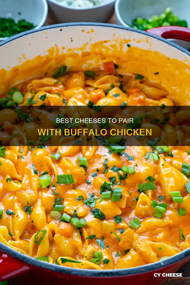 what kind of cheese with buffalo chicken