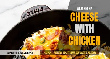 Chicken and Cheese: Perfect Pairing for a Delicious Dish