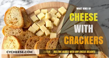 Cracker and Cheese Bliss: A Guide to the Perfect Pairing