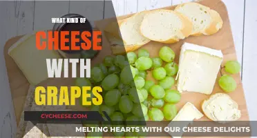 Cheese and Grapes: A Tasty Pairing Guide