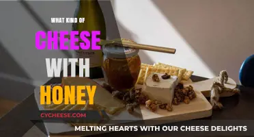 Cheese and Honey Bliss: Exploring Delicious Combinations