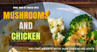 Savory Sensations: The Ultimate Guide to Cheesy Mushroom and Chicken Delights