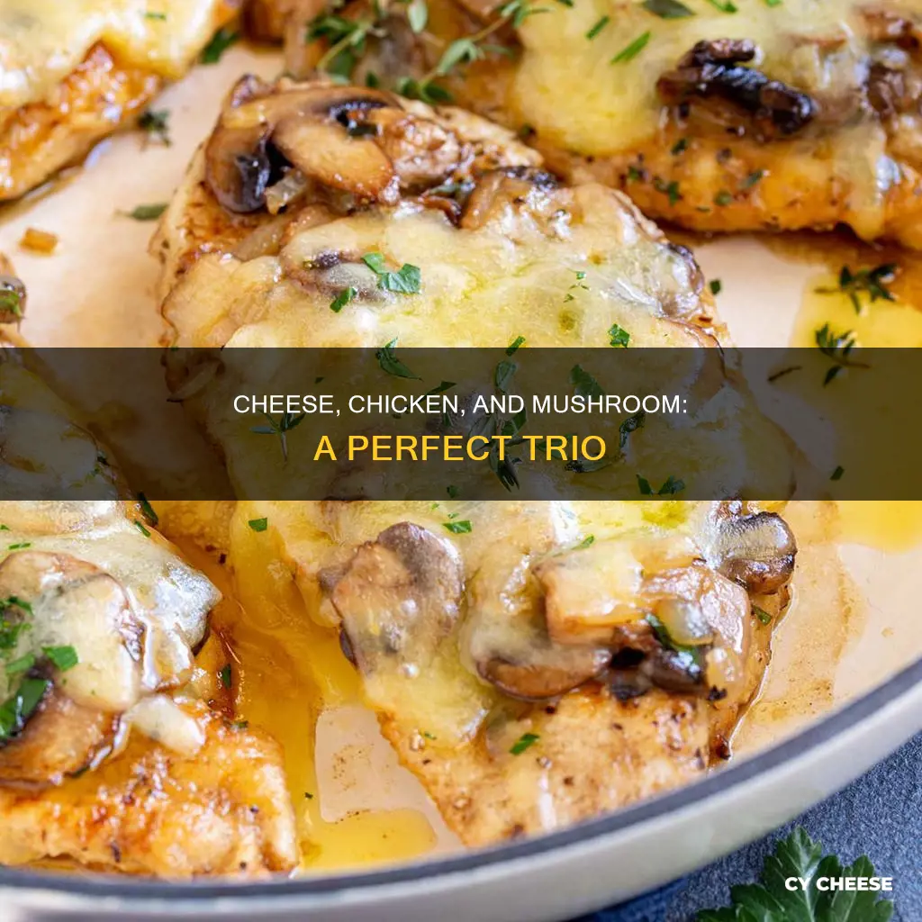 what kind of cheese with mushrooms and chicken