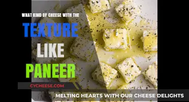 The Ultimate Guide to Finding Paneer-Like Cheese