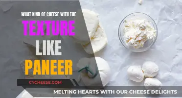 Cheeses With Similar Texture to Paneer: A Comprehensive Guide