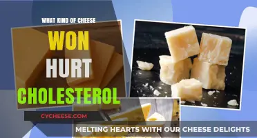 Cheese and Cholesterol: Unraveling the Healthy Choices