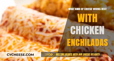 Cheese Guide: Perfect Pairing for Chicken Enchiladas