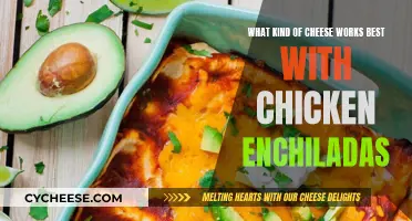 Cheese and Chicken Enchiladas: The Perfect Melty Match