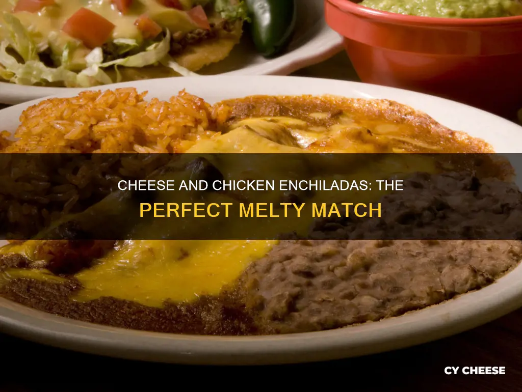 what kind of cheese works best with chicken enchiladas