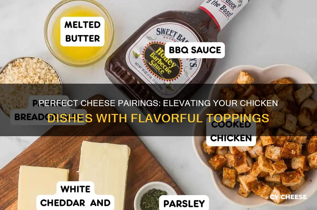 what kind of cheese would be good on chicken