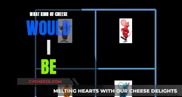 Cheese and Me: A Personal Flavor Pairing Guide