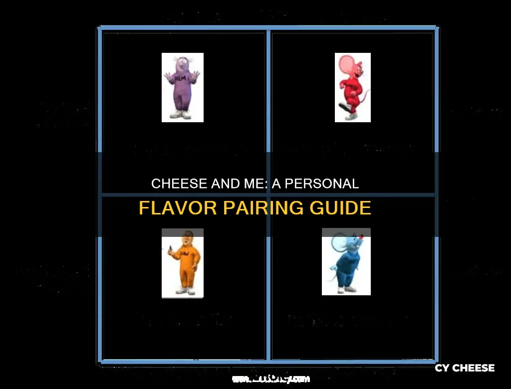 what kind of cheese would i be