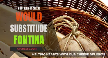 The Best Fontina Cheese Substitutes for Your Next Dish