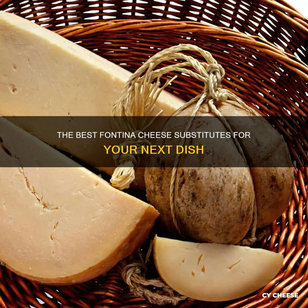 what kind of cheese would substitude fontina