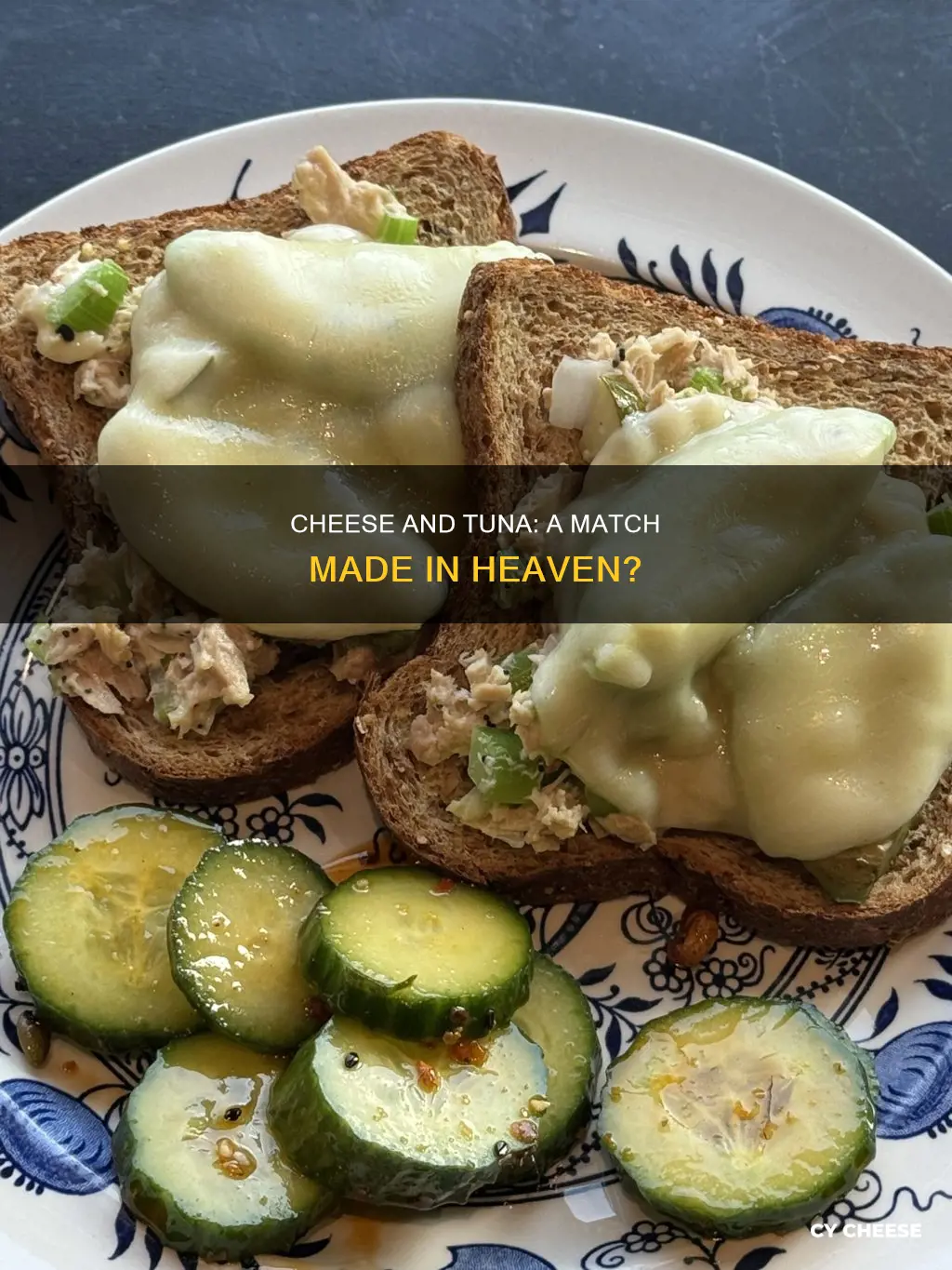 what kind of cheese would taste best with tuna