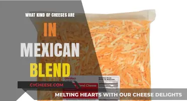 Unveiling the Cheesy Secrets: Mexican Blend's Diverse Cheese Mix