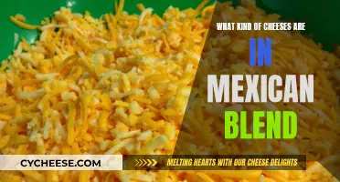 The Cheeses in Mexican Blend: A Flavorful Mix