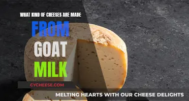 Goat Milk Cheeses: Exploring Varieties and Flavors